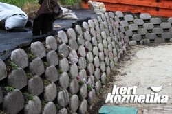 Flórakosarak szárazságtűrő évelőkkel (16)